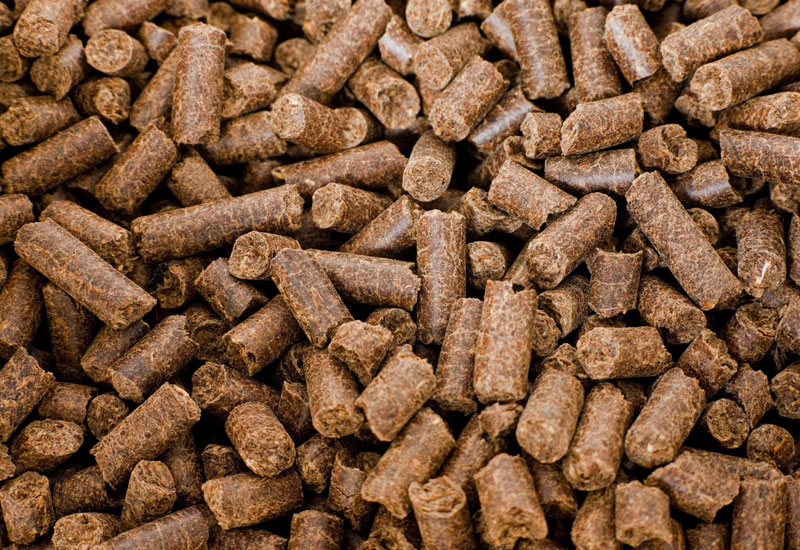 DDGS Pellets (Dried Distillers Grains with Solubles)